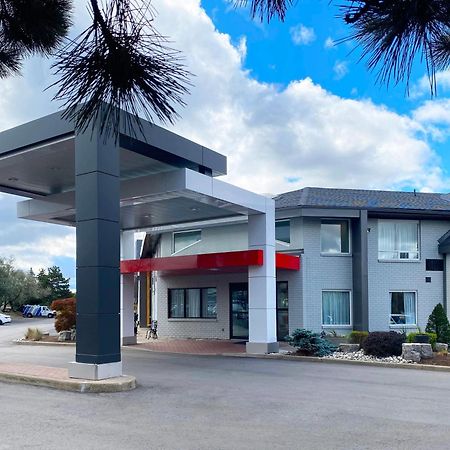 Comfort Inn Dryden Εξωτερικό φωτογραφία