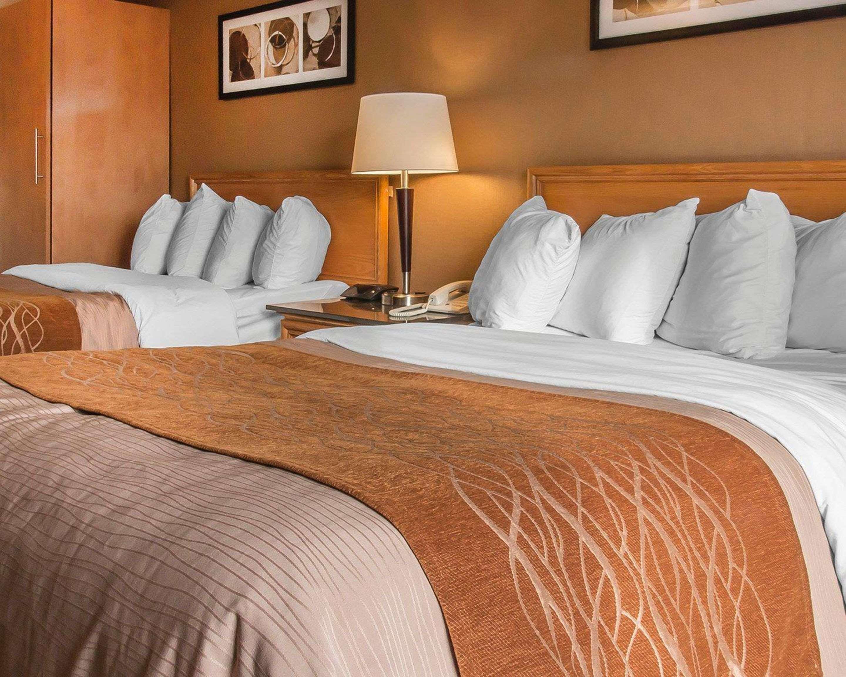 Comfort Inn Dryden Εξωτερικό φωτογραφία